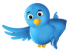 Follow Issy Website Design on Twitter