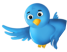 Follow Issy Website Design on Twitter